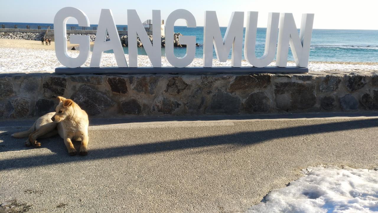 Ocean Capsule Guesthouse Gangneung Eksteriør bilde